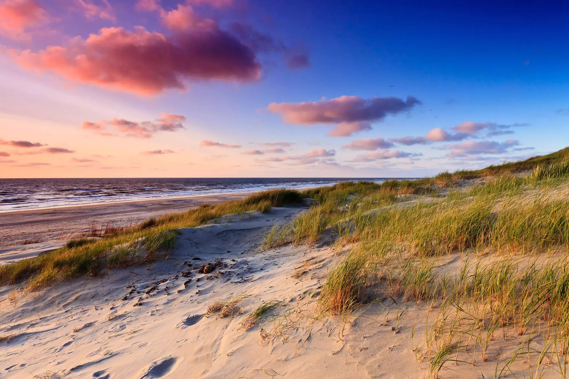 Duinen en strand - rust en beweging
